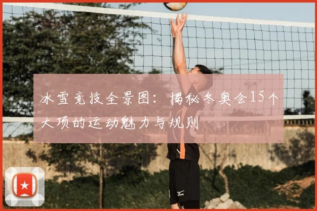 冰雪竞技全景图:揭秘冬奥会15个大项的运动魅力与规则